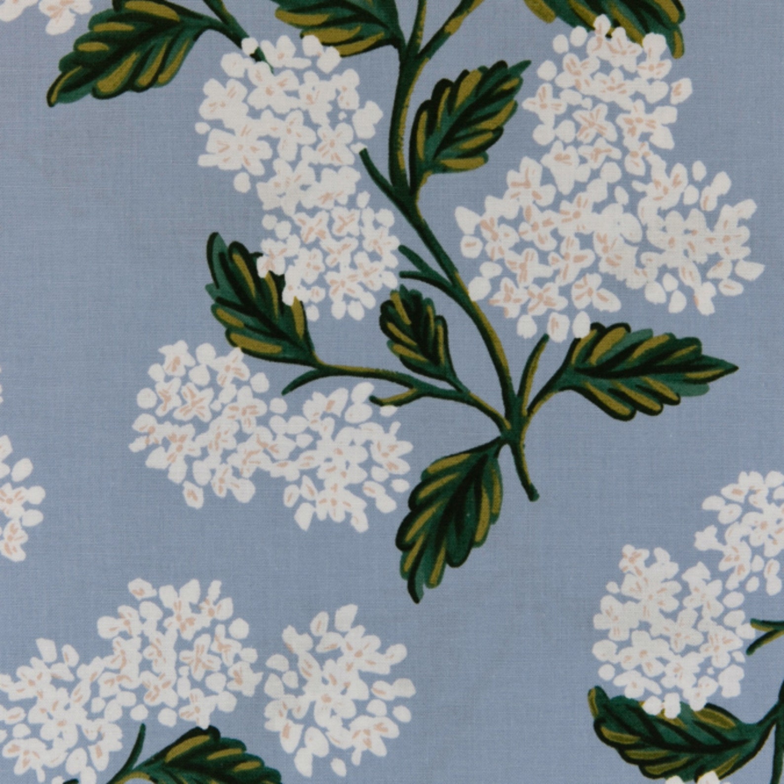 Rifle Paper Co. Meadow Collection Hydrangea in Light Blue Etsy