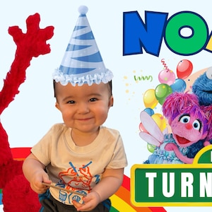 Personalisierte Geburtstagsbanner bereit, Pdf-Datei zu drucken, Kinder Geburtstagsbanner, Elmo Geburtstagsbanner, Sesamstraße, Abby Cadabby, Krümelmonster