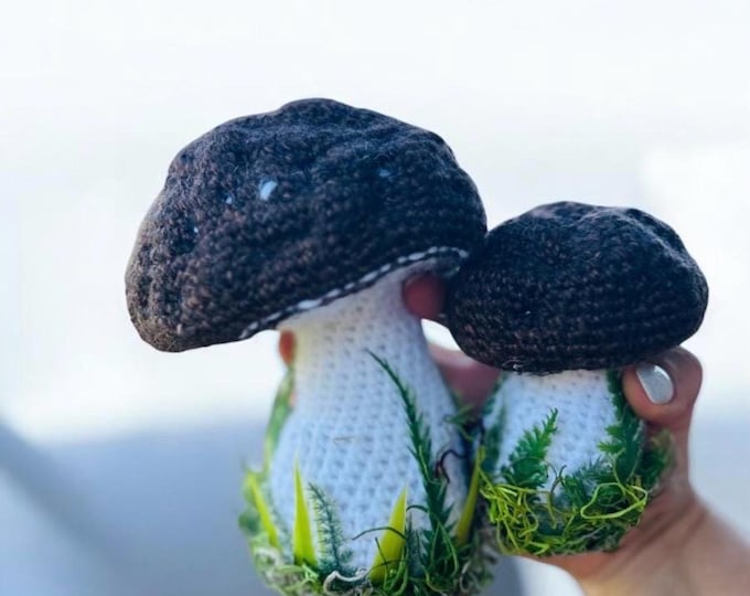 Handmade Crochet Mushroom Decor - Cottagecore Set of 2