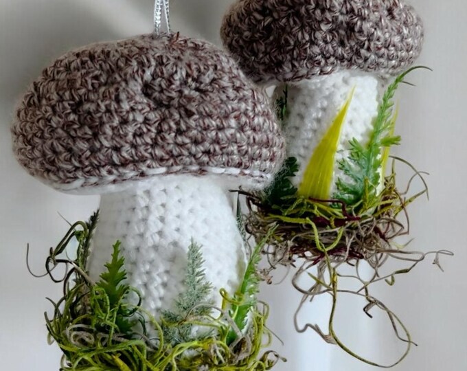 Hanging Mushroom Decoration Set of 2 Mushrooms Cottage core Home Decor for Modern Farmhouse