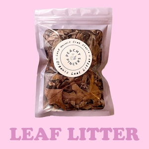 Seasonal Leaf Litter | Hermit Crab Foraging Mix