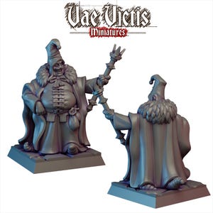 Corrupted Circus Master, Vae Victis, 28mm & 32mm Scale TTRPG Miniatures