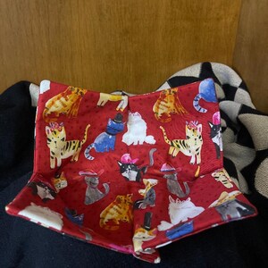 Handgjorda katter i hattar grytlapp