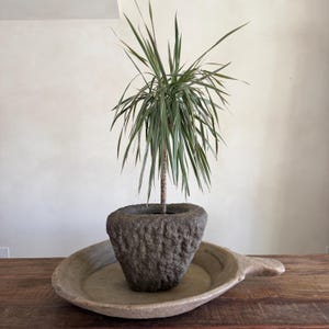 Antique Heavy Stone Mortar Planter | Vintage Hand-Carved Limestone Bowl