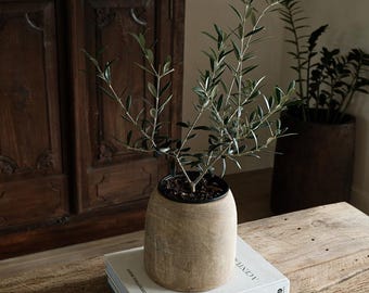 Vintage Teak Flower Pot 8" | Hand Carved Wood Planter | Wabi Sabi Decor