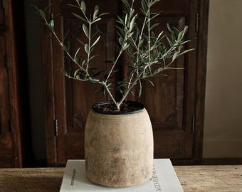 Hand Carved Teak Wood Planter 8.2" | Vintage Flower Vessel | Rustic Home Decor