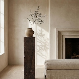 May include: A tall, dark brown, rectangular wooden pedestal with a weathered, textured surface. Resting on top of the pedestal is a small, round, beige ceramic vase containing a single, slender branch with small, pointed green leaves.