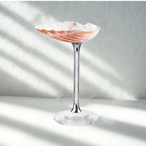 Elegant Goddess Flute Coupe Bachelorette Champagne Glass | Seashell Conch Martini Glass | Wedding Bridesmaid Gift | Natural Shell Wine Glass