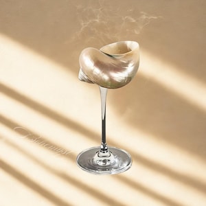 Natural Shell Wine Glass | Seashell Conch Martini Glass | Wedding Bridesmaid Gift | Elegant Goddess Flute Coupe Bachelorette Cocktail Glass
