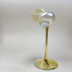 Luxury Shell Goblet | Handmade Conch Chalice with Gold Stem | Coastal Decor | Unique Ocean-Inspired Drinkware | Nautical Gift | Shell Wine