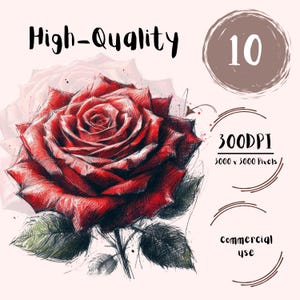 Red Rose | Clipart Bundle | High-Quality PNGs 300 DPI | Scrapbooking Digital Stickers Printable  Art Paper Craft Commercial use