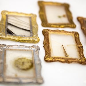 May include: Close-up of several small, ornate picture frames with gold and silver finishes. Each frame contains a unique, encased specimen, including a feather and insect parts. The frames are arranged on a white surface.