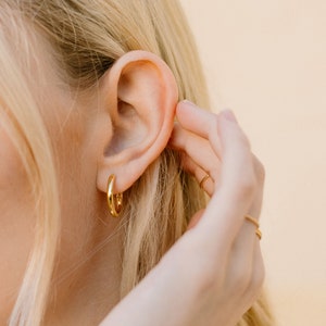 Gold Hoop Earrings, Small Hoop Earrings, Everyday Hoop Earrings, Neptune Hoops