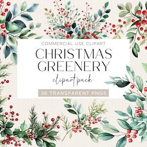 Beeren & Grün Weihnachts Clipart Aquarell Weihnachten Botanische Clipart Aquarell Winter Clip Art Aquarell Blumen Stechpalmen Beeren Dekor