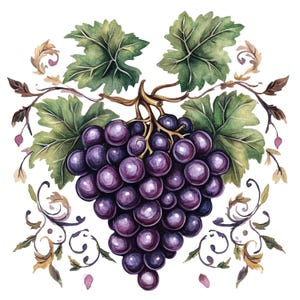 11 racimos de uvas Clipart Paquete de uvas Clip Art de arte popular Frutas PNG de alta calidad Descarga digital Uso comercial Revista basura