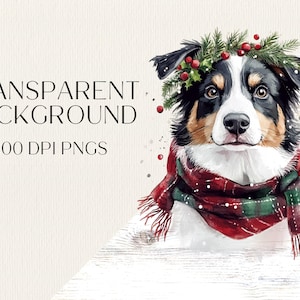 K&ouml;nnte beinhalten: Ein Aquarellbild eines schwarz-braunen Hundes, der einen rot-gr&uuml;nen karierten Schal mit einem Kranz aus Stechpalme und Beeren um den Kopf tr&auml;gt. Der Hund schaut direkt auf den Betrachter.