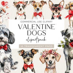 Süßer Hund Aquarell Clipart Valentinstag Clip Art Valentine Hunde Grafiken Herz Blumen Geschenke Png Sofortiger digitaler Download Kommerzielle Nutzung