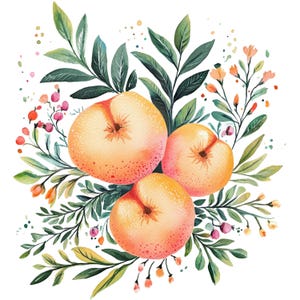 13 Aquarell Pfirsich Clipart Pfirsiche skandinavische Volkskunst Clip Art Obst hochwertige PNGs Digital Download Junk Journal Papierhandwerk