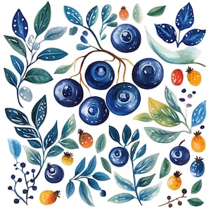 13 Aquarell Heidelbeere Clipart Heidelbeeren skandinavische Volkskunst Clip Art Obst hochwertige PNGs Digital Download Junk Journal Papierhandwerk