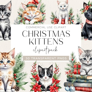Aquarell Weihnachten Kätzchen Clipart süsse Weihnachten Clip Art süsse Tiere Bilder Weihnachten Katzen Clipart Bundle Winter Urlaub Clipart