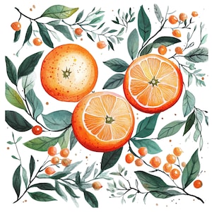 13 Clipart di arance acquerellate, arance, arte popolare scandinava, clip art di frutta, PNG di alta qualità, download digitale, uso commerciale, giornale spazzatura