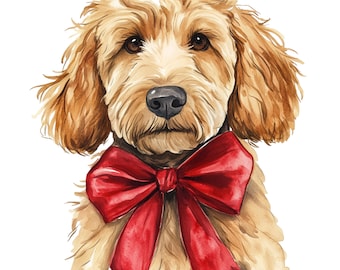 14 Valentine Goldendoodle Clipart Cute Dogs Clip Art Valentines Dogs Graphics Valentine's Day png Instant Digital Download Commercial Use