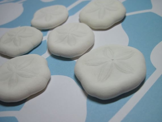 6 Mini Sandollar Sea Biscuits or Sea Cookies Il_570xn