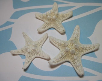 3 Mini Starfish - Knobby White Starfish Sea Stars - Approx  2 to 2 1/4 inches