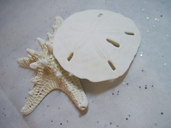 Sandollars - Beach Wedding Favors and Beach Decor - Genuine Sand dollars 3 inch Il_570xn