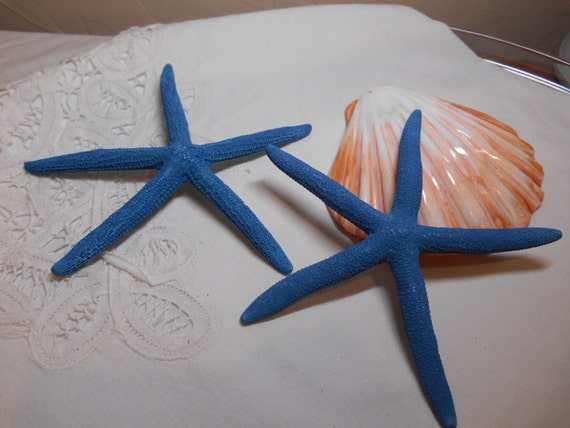 Beach Wedding Blue Starfish 5.5 inch - Great for weddings - fingerling starfish Il_570xn