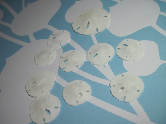 Beach Wedding Sandollars - Beach Wedding Favors and DIY - 10 Mini sand dollars Il_570xn