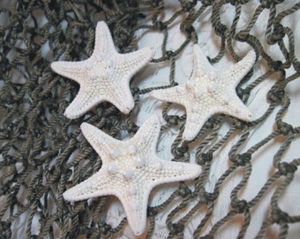 3 Mini Knobby Starfish -  White Starfish Sea Stars