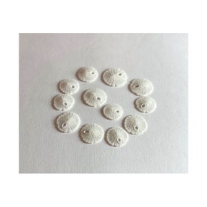 May include: A collection of white sand dollars arranged in a circle on a white background.