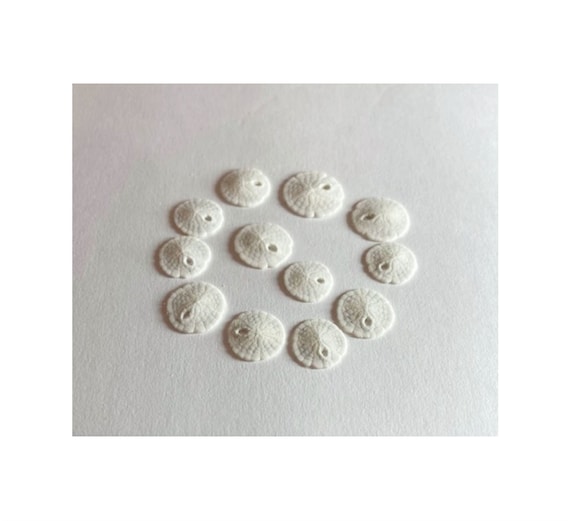 Tiny Sandollars 3/8 inch Sand dollars 12 Real mini sandollars Il_570xn