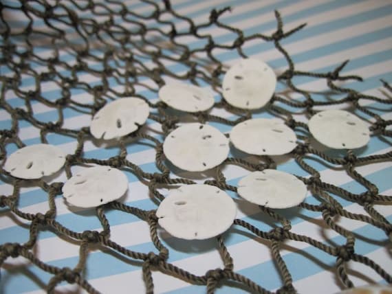 10 Mini Sandollars 1 inch for Jewelry Making 308 Il_570xn
