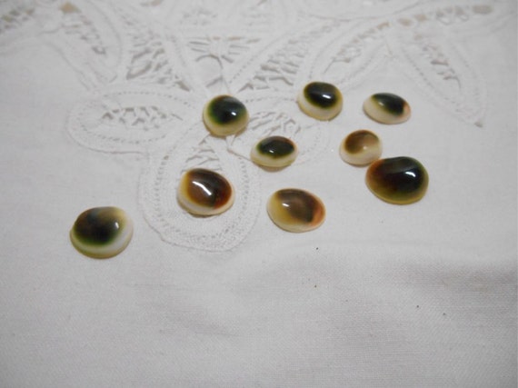 Cat's Eye Shells - 10 Green and brown 103 Il_570xn
