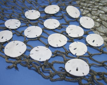 Mini Sand dollars  3/4"-1” - Craft Supply - Beach Wedding Favors - Wedding Decor - 10 Sandollars - FREE SHIPPING over 35.00