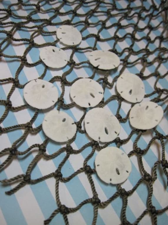 Sandollars, White Sand dollars, white shells, Sea Shells, Mini Sand dollars, Real Sand dollars, Beach Decor, 1 inch Il_570xn