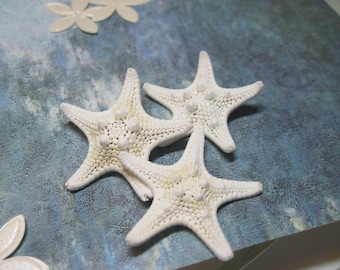 3 Knobby White Starfish: Small Sea Stars, Beach Wedding Decor (2-2.25 inches)