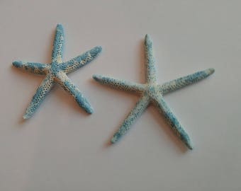 Watercolor Starfish - Blue & White Starfish - approx  3.5 and 4 inch - Great for weddings - fingerling starfish #103