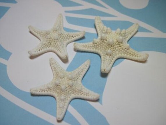 3 Mini Knobby Starfish - White Starfish Sea Stars Il_570xn