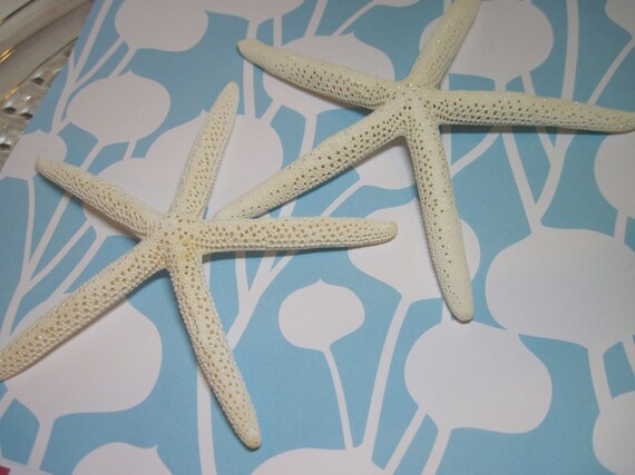 2 Glittery White Starfish Sea Stars - 7 inch Fingerlings - Il_570xn