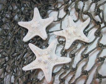 Mini Knobby Starfish - 6 White Starfish Sea Stars - 1 1/2&quot;