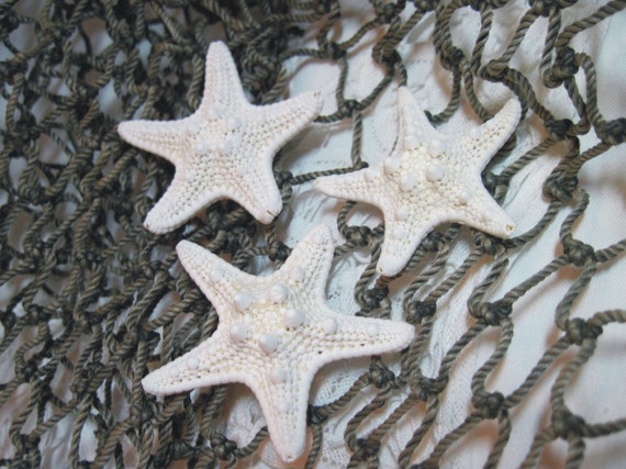 Starfish Knobby - Small Starfish - 25 White Starfish Sea Stars - 2 - 2 1/4 inch Il_570xn