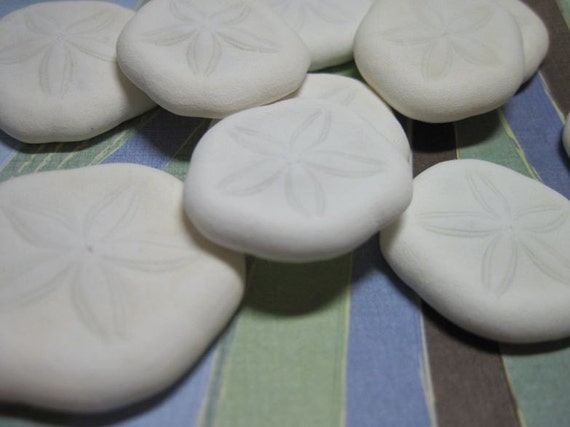 10 Mini Sandollar Sea Biscuits Sea Cookies Il_570xn