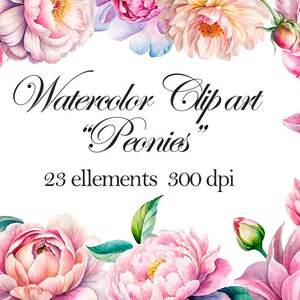 Watercolor Peonies – 23 Floral Elements, PNG Transparent Background, Digital Download for Invitations, Cards, Textiles & Home Decor