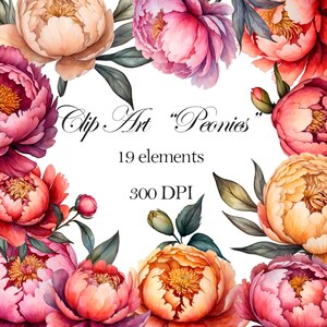 Watercolor Peonies Clipart, Elements for Invitations, Peonies download, Pink peonies, Beautiful flowers watercolor, flowers on transparent