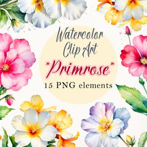 Watercolor Primrose Clipart, Floral PNG Bundle, Hand Painted Flower Illustration, Botanical Digital Download, Spring Blossom Graphics