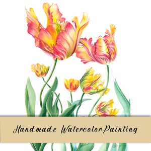 Original Watercolor Painting of Parrot Tulips, Handmade Floral Art for Stylish Home, Office Decoration, Elegant Handmade Watercolor Tulips