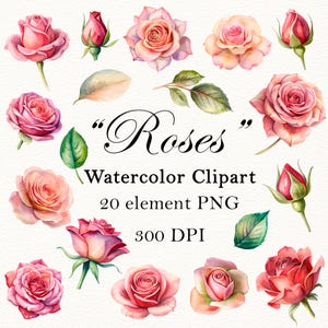 Rouses aquarelle clipart Impression rose de haute qualité - PNG floral peint à la main, invitation romantique, cartes, affiches, artisanat - Téléchargement numérique,